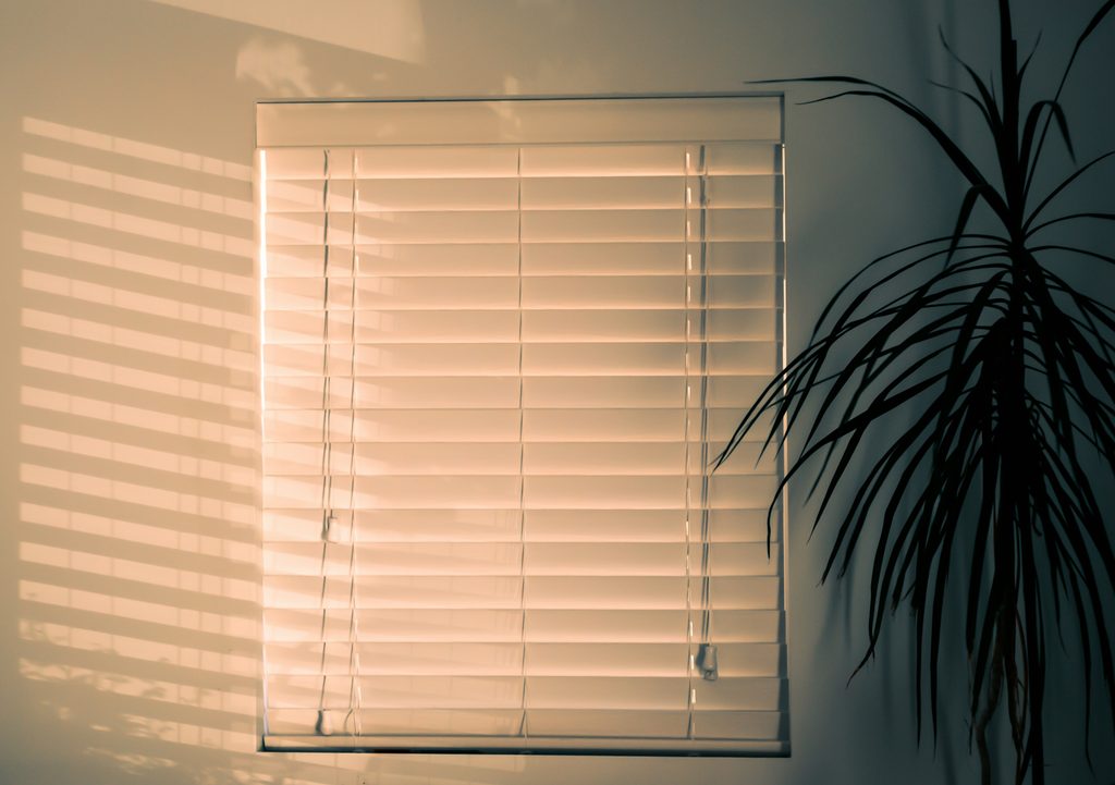Window blinds casting shadows with indoor plant